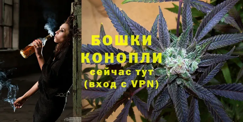 Бошки марихуана OG Kush  хочу   Белёв 